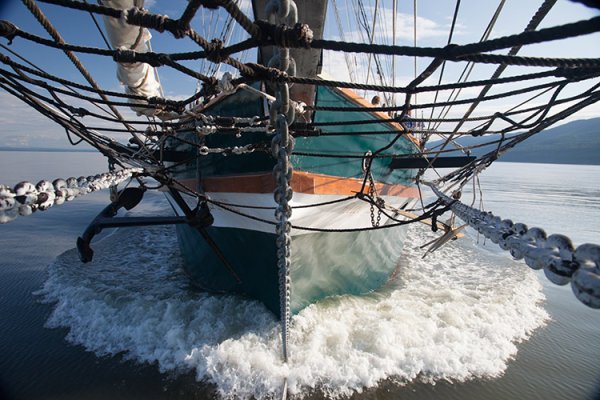 Tall Ships  MG 2643